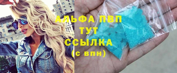 гашик Осташков