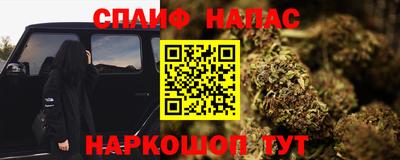 PSILOCYBIN Камышлов