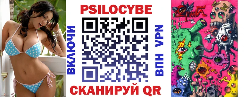 Галлюциногенные грибы Psilocybe  Сальск 