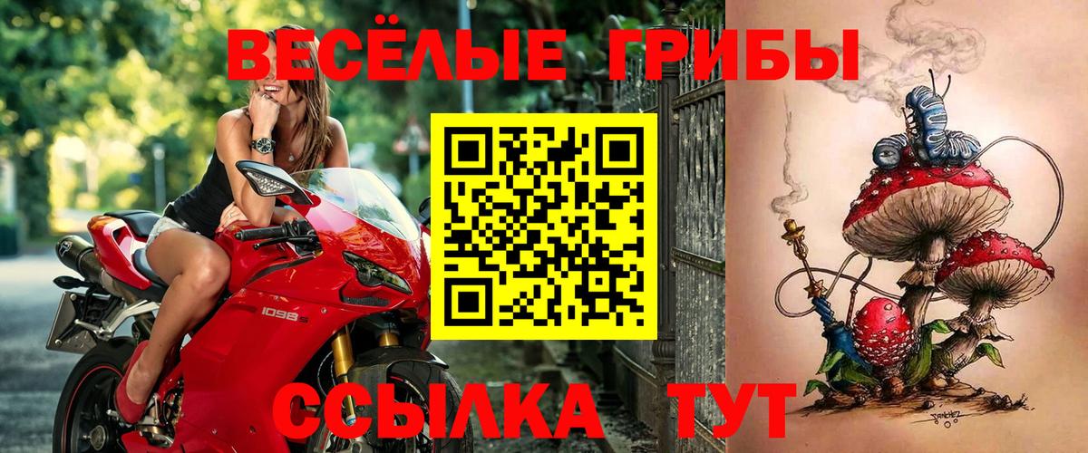 Галлюциногенные грибы мухоморы  Вход с VPN  Сальск 